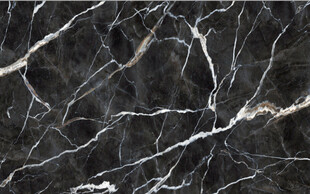 高清银白龙大理石