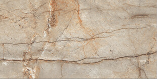 棕色索菲特金大理石