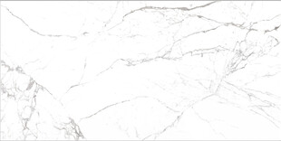 水墨大花白大理石