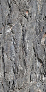 粗糙岩石纹理特写