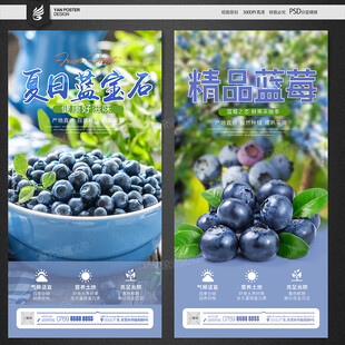 蓝莓海报