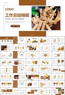 中医中药行业总结计划PPT