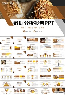 中医中药行业总结计划PPT