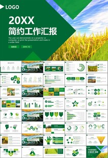 水稻农田农业种植大米PPT模板