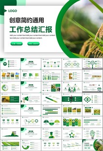 水稻农田农业种植大米PPT模板