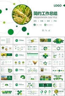 水稻农田农业种植大米PPT模板