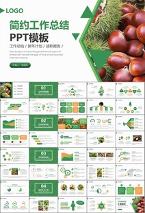 营养美食美味板栗种植宣传PPT
