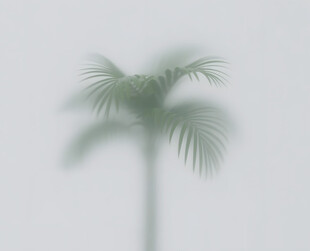 雾气磨砂膜效果绿植贴图