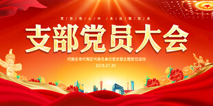 支部党员大会展板