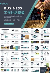 大豆种植产业工作总结年终汇报