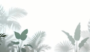 雾气磨砂膜效果绿植贴图