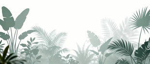 雾气磨砂膜效果绿植贴图