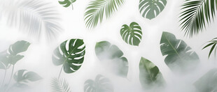 雾气磨砂膜效果绿植贴图