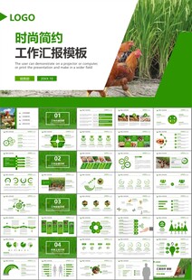 绿色生态农家鸡舍家禽养殖PPT
