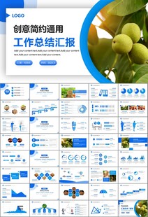 精美核桃种植产业总结计划ppt