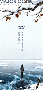 24节气大寒海报