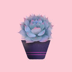 趣味手绘盆栽植物系列