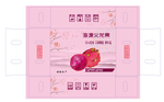 火龙果包装设计-展开图