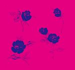 花草树木  风景素材 植物 花