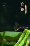 立夏小清新夏日中国传统节气海报