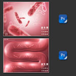 益生菌合理膳食肠胃健康