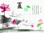 夏季荷花诗意图