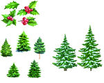 水彩圣诞树跟冬青