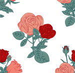 玫瑰 插画 高品质 矢量图