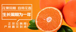 橙子海报