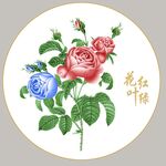 花红叶绿多通道