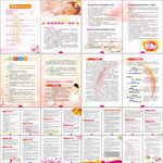 产妇健康教育手册