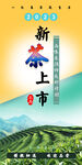 茶文化 新茶海报 茶X展板