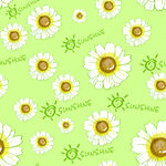 清新 雏菊四方连续图  印花图