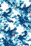 蓝白树叶图案纹理背景