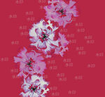 玫红色底花卉图案设计