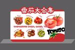 西红柿大合集 店教牌