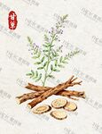 甘草药材与植株图示
