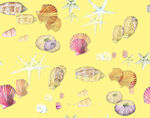 黄色背景上的贝壳与海星