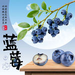  蓝莓 