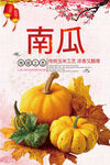 南瓜