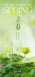 立春节气海报