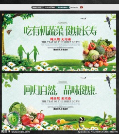 有机素菜食品安全水果饮料