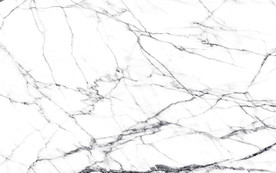 大厅 奢华新鱼肚白 tif合层