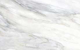 高大上新豪华鱼肚白 tif合层