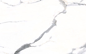 会所新天然鱼肚白 tif合层