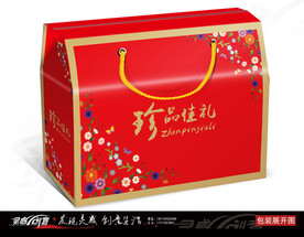 珍品佳礼礼盒包装