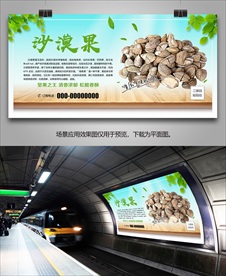 沙漠果海报灯箱展板展架挂画单页