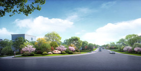 道路效果图景观效果图市政效果图