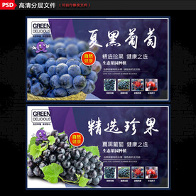 夏黑葡萄展板