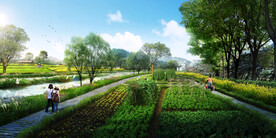 美丽乡村田园菜园景观